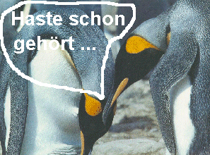 Medien